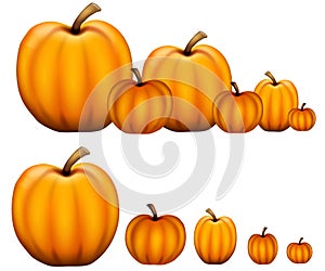 Rows of Pumpkins photo