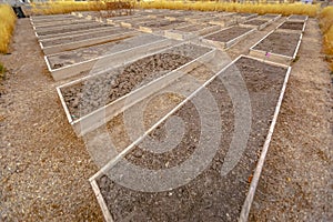 Rows of raised wooden garden beds with faucets and filled with coarse brown soil