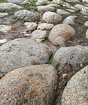 rows of randomly arranged stones of different sizes swallowed by the earth