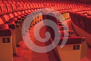 Rows of red cinema seats with number. View of empty theater hall. Comfort chairs in the modern theater interior