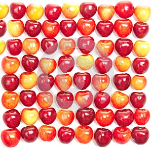 Rows of red and yellow cherries on a white