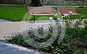 Rows of reddish wood benches on their paneling under the benches is a rectangle of concrete anti-scraping beige paths by the shoes