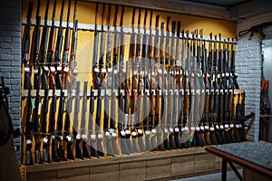 Rows of rifles on the wall, showcase in gun shop