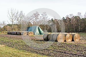 Rows of round bales of cattle feed hay packed in a plastic mesh