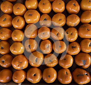 Rows and Rows of Orange Tomatoes