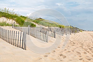 Rows of Sand Fences at Nags Head, North Carolina