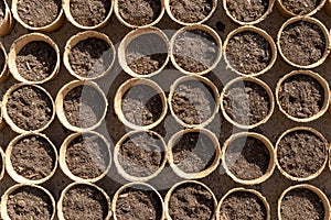 Rows of seeds and soil in small peat pots ready for planting
