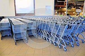 Rows of shopping trolleys