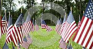 Rows of slow waving American flags, focusing on one USA flag blowing in the wind.