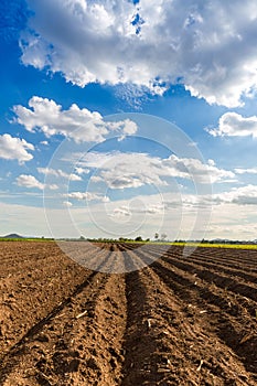 Rows of soil before planting. Furrows row pattern in a plowed field prepared for planting crops in spring. view of land prepared f photo