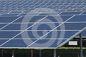 Rows of solar panels