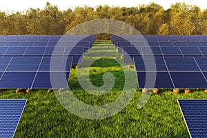 Rows of solar panels on a green meadow