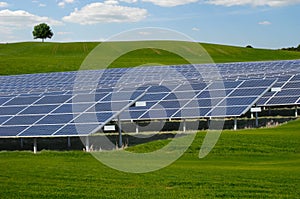 Rows of solar panels and green nature