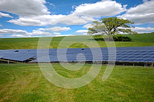 Rows of solar panels and green nature