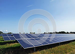 Rows of solar PV panels