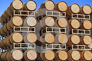 Rows of stacked oak wine barrels