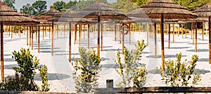 Rows of thatch umbrellas in the park.