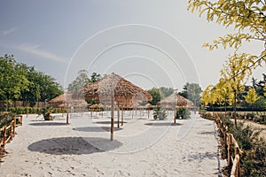 Rows of thatch umbrellas in the park.