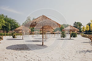 Rows of thatch umbrellas in the park.