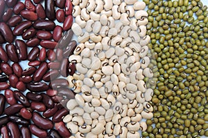 Rows of three widely consumed beans in India. These are red kidney beans, black eyed beans and mung beans.