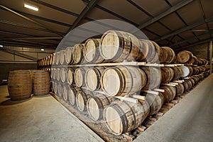 Rows of traditional full whisky barrels, put down to mature, in a large warehouse facility, with acute perspective
