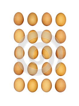 Rows of twenty brown eggs.