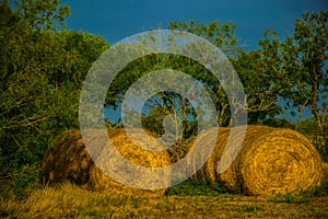 Rows of Two string Hay Bales South Texas Ranch