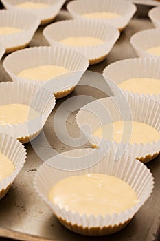 Rows of unbaked cup cakes lined up