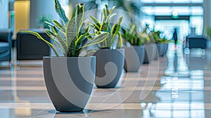 rows of uniformed potted plants adorning the entrance to a modern office complex, enhancing the corporate ambiance with photo