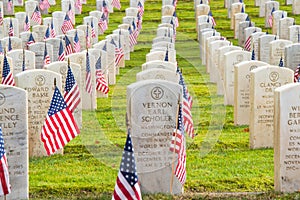 Rows Veteran Grave Markers with American Flags