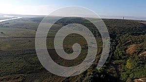 Rows of vineyard before harvesting, seen from drone