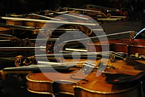 Rows of violins. Violins details.