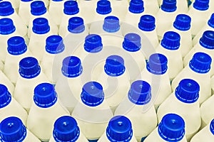 Rows of white bottles with blue plastic caps