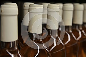 Rows of wine bottles