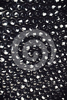 Rows of wine bottles in the cellar