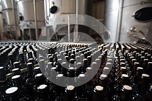 Rows of wine bottles in a winery