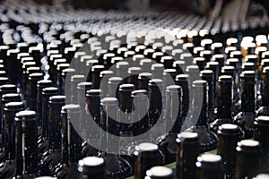 Rows of wine bottles in a winery