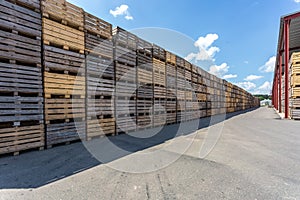 Rows of wooden crates boxes and pallets for fruits and vegetables in storage stock. production warehouse. Plant Industry