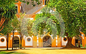 Royal AndalucÃÂ­an School of Equestrian Art photo