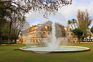 Royal Andalusian School of Equestrian Art photo