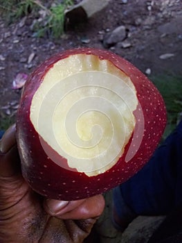 Royal Apple Apple