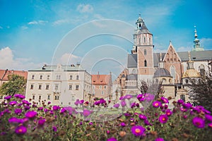 Royal Archcathedral Basilica of St. Stanislaus and Wenceslaus on Wawel Hil