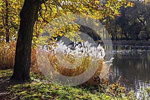 Royal Baths Park in Warsaw city, Poland