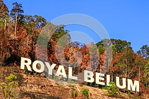 Royal Belum rainforest landmark