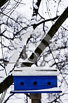 Royal Blue birdhouse in the snow