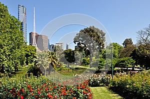Royal botanic garden, Melbourne photo