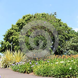 Royal Botanic Garden, Sydney