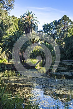 Royal Botanic Gardens in Melbourne