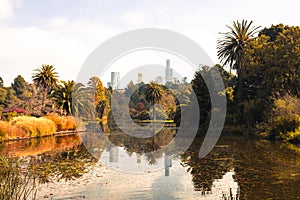 Royal Botanic Gardens in Melbourne Australia