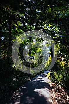 Royal Botanic Gardens in Melbourne Australia